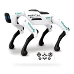 remote Control Dog _V2